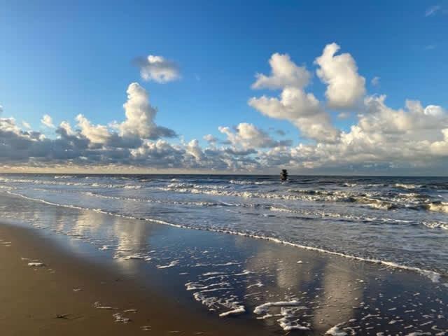 Appartamento Seaview With Style Ostenda Esterno foto